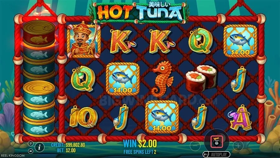 Daily Cashback Promotion